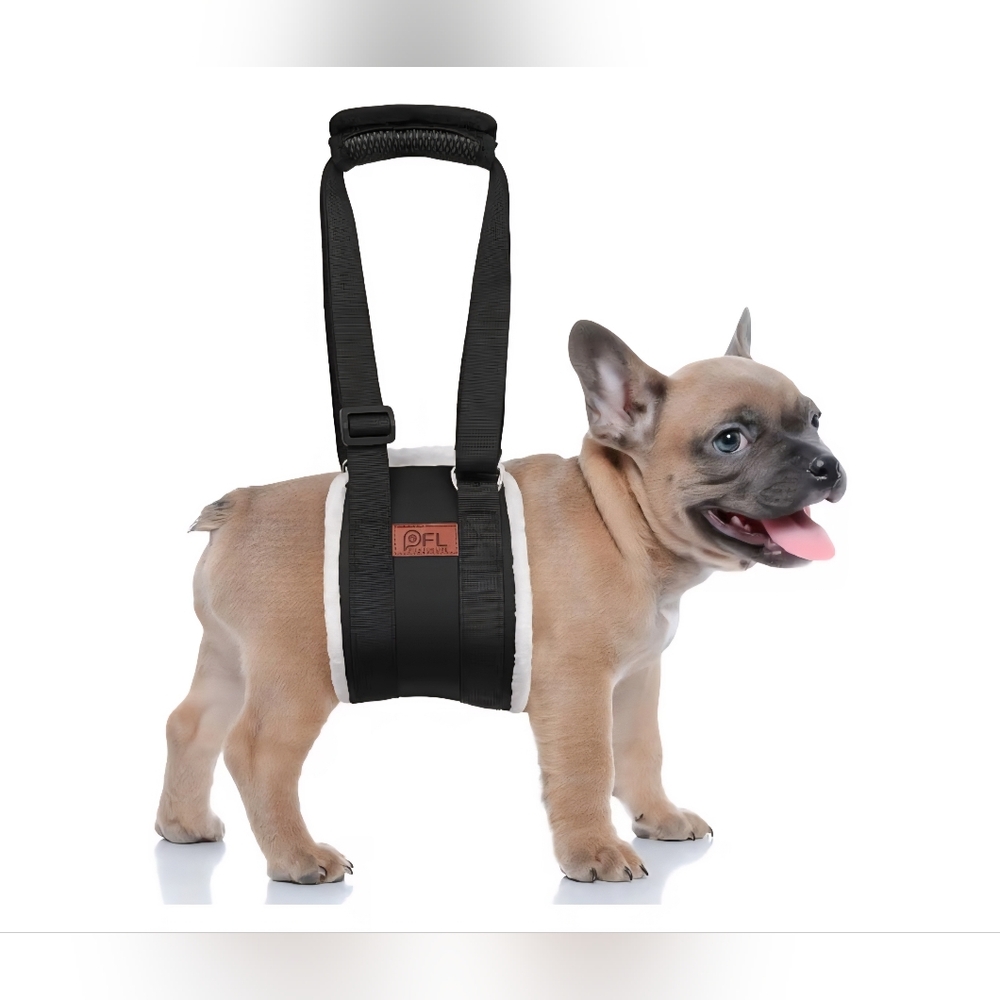 Black Support Harness NEW Size MEDIUM